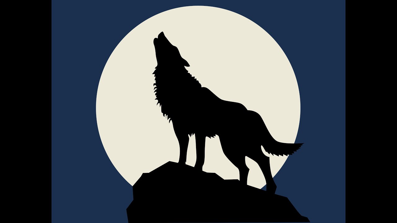 Волк воет на луну картинка черно белая