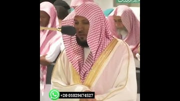 حالات واتساب قران بصوت الشيخ ماهر المعيقلي _ سورة لقمان
