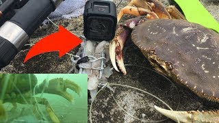 Underwater Crab Snare Footage - Threw my GoPro in the Pacific Ocean