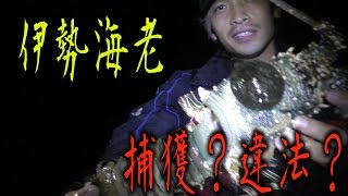 野生の伊勢海老現る！【釣り三昧の旅　2話】