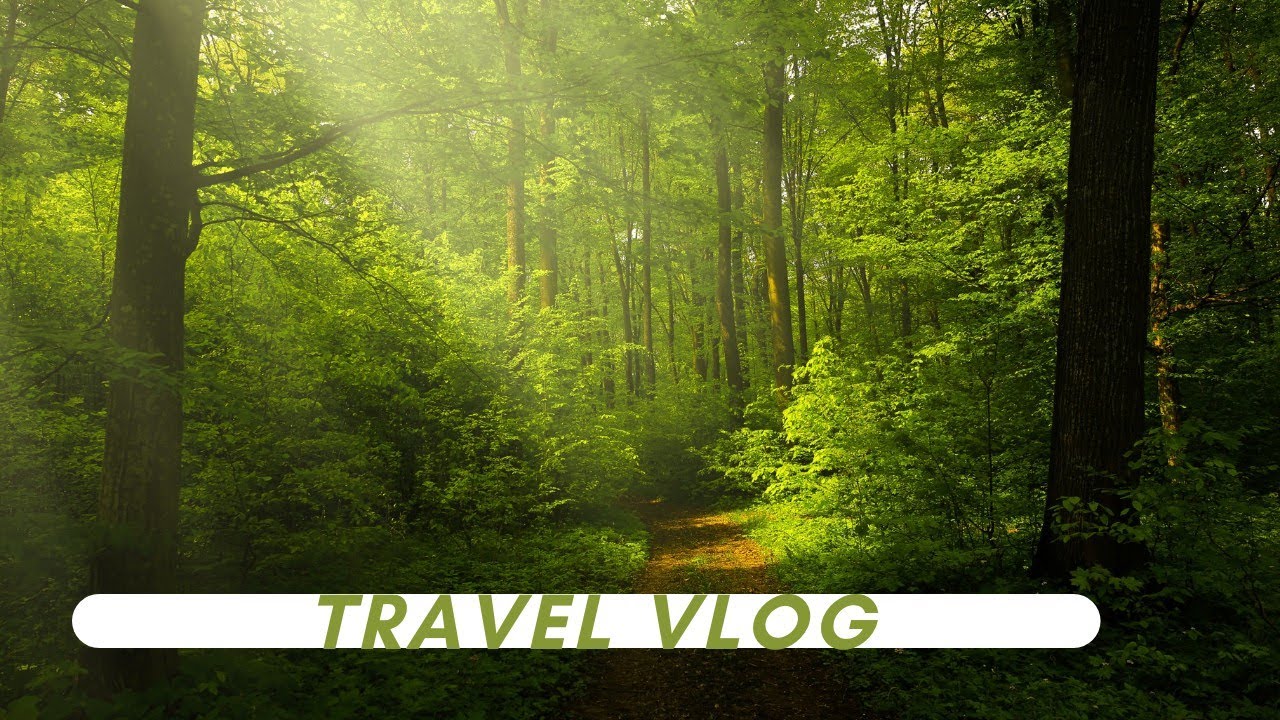 Into The Nature 🏕️ My New Vlog||Please Subscribe My Channel 