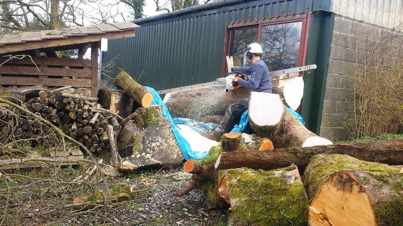 Felling a Tree and Making Slabs with a Chainsaw - YouTube