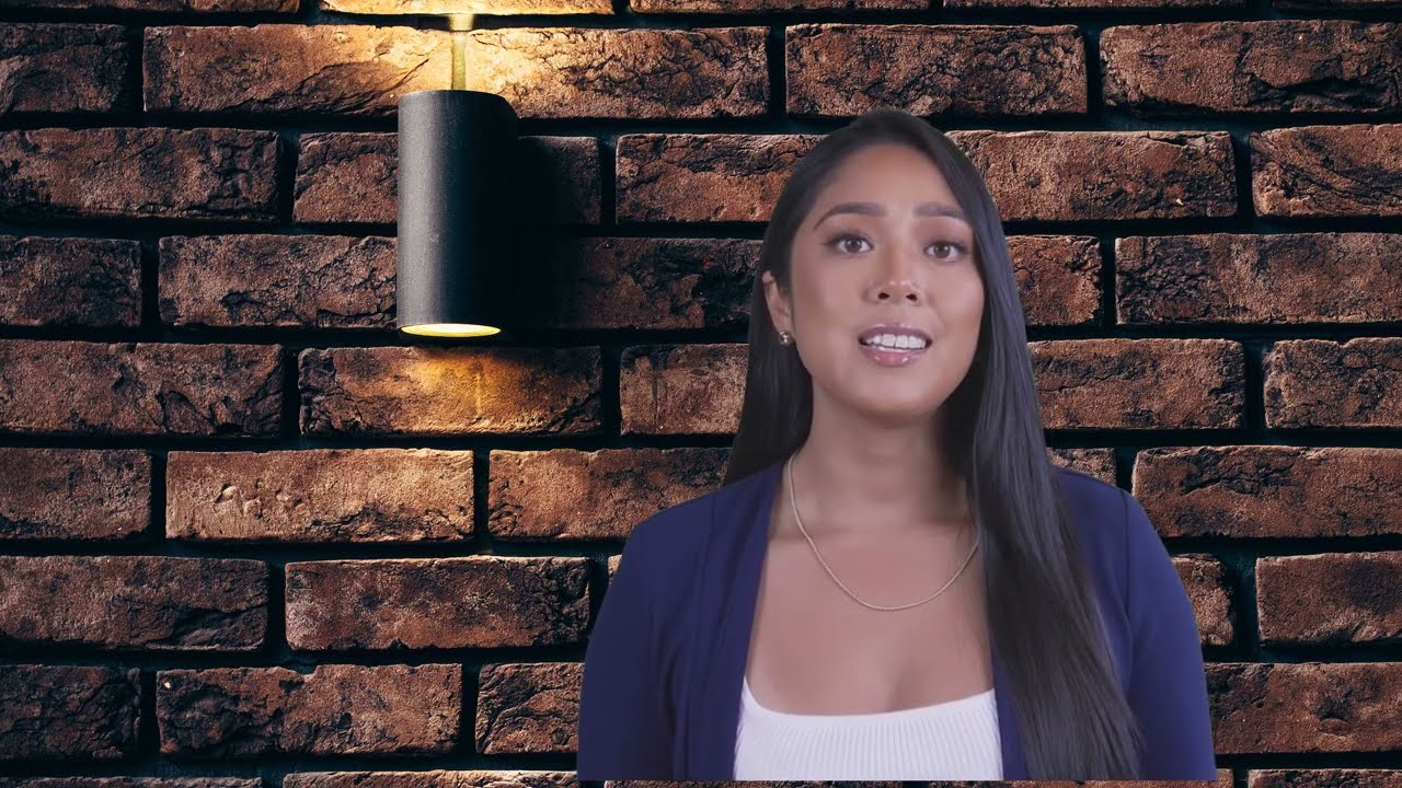 Termite Identification Tips - Pro Defense Pest Control