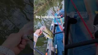 my first fish on a kayak and my first using the Magdraft #ohiofishing #bassfishing #kayakfishing