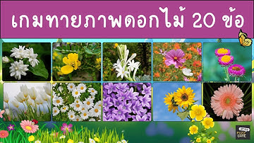 เกมทายชื่อดอกไม้ จากภาพ 20 ข้อ