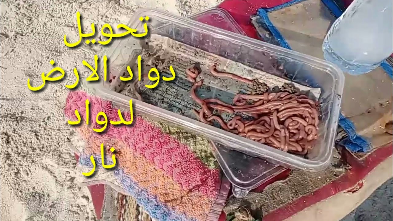 شرح تحويل دواد الارض لدواد نار وتمليح العقر🔥