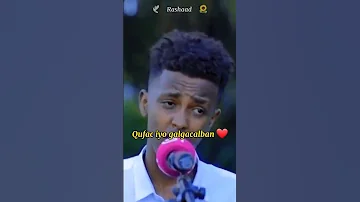 Abdiwali Kingeero Qalbi Nabar Ku Yaal Short Video 