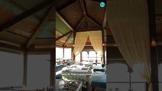 Get Maratha Vibes At These Royal Tents In Pune | Curly Tales #shorts