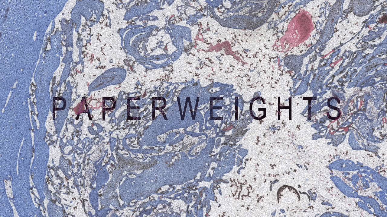 Roo Panes - Paperweights (Official Audio) accords
