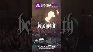 Brutal Assault 2024 - Behemoth