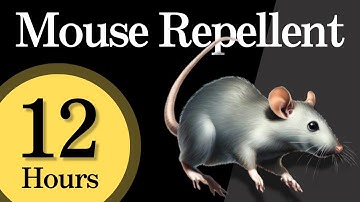 [12h] Mouse Repellent Noise – Works While You Sleep or Away