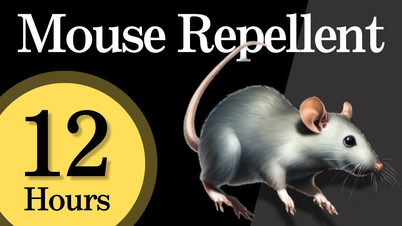 Mouse Repellent Noise | Works While You Sleep or Away | 12 Hours
