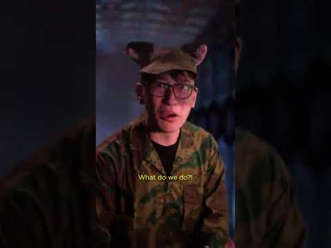 The Battle Cats - The Battle Cats