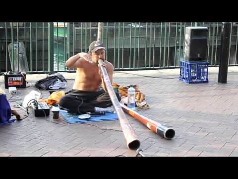awesome didgeridoo playing australia