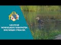 100-річчя Українського товариства мисливців і рибалок