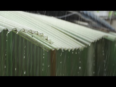 수면유도 듣기 좋은 빗소리  | 불면증 이명 숙면 휴식을 위한  백색소음 ASMR  | 슬레이트 지붕 <strong>처마</strong> 빗소리 10시간