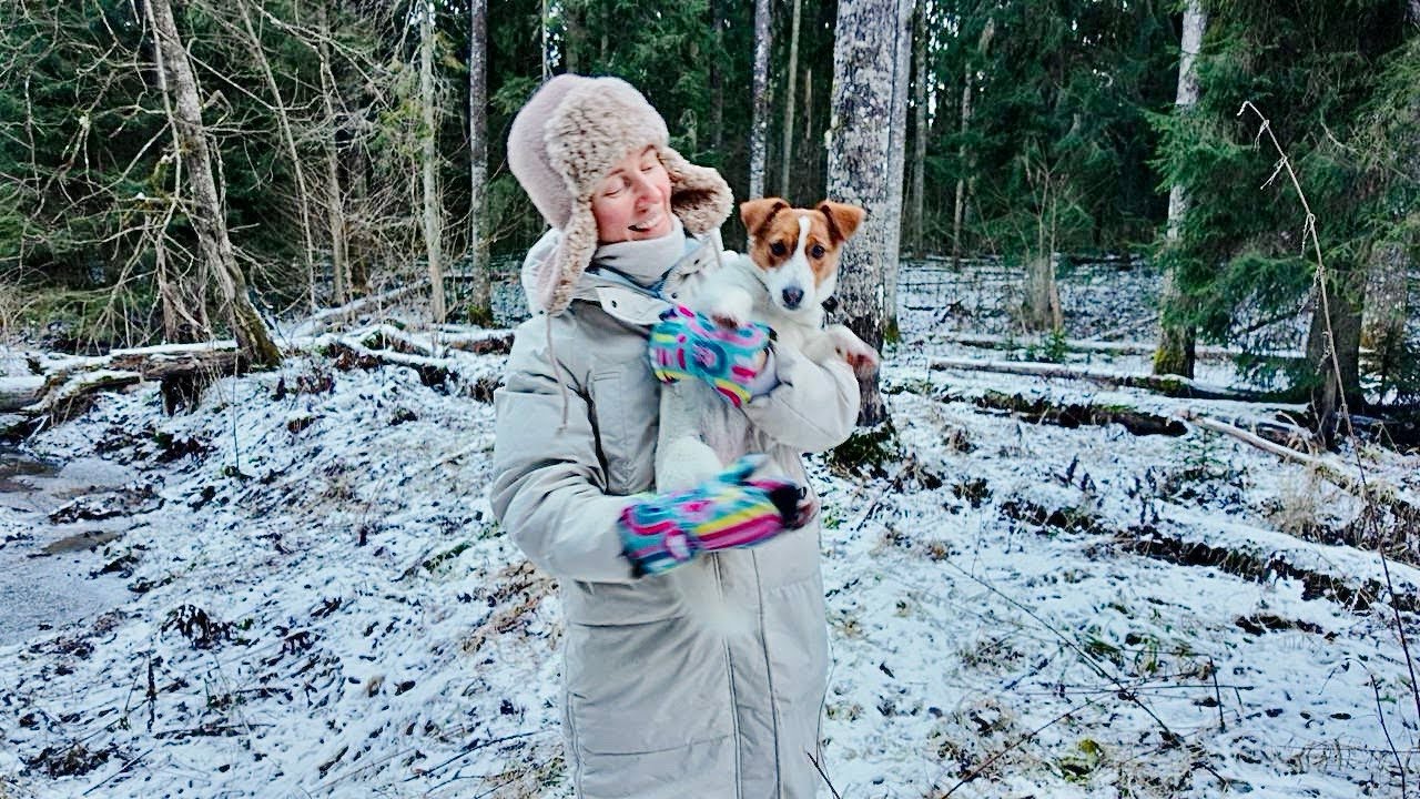 Our Family Walk 🐶