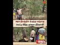 Tiruppur | TVK | அனுமதியின்றி அரசு நிலத்தில் இருந்த மரத்தை வெட்டி விற்ற தவெக நிர்வாகி | Sunnews