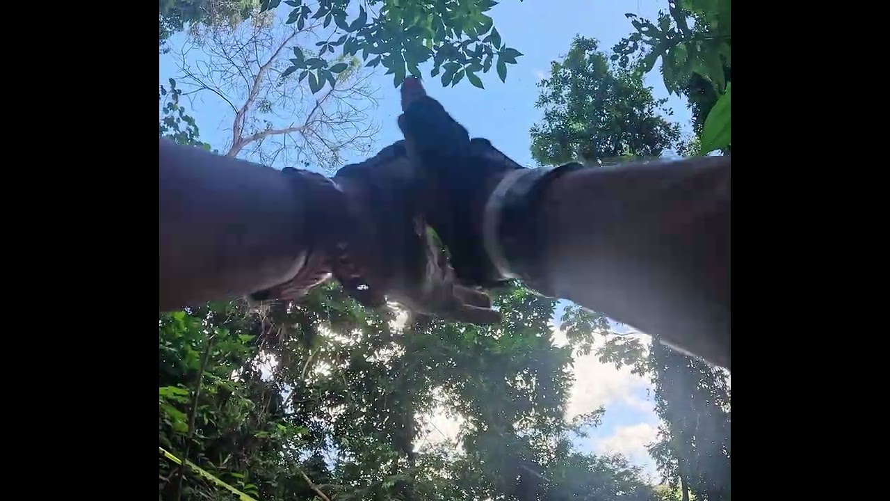 Bajando los Pino - Vuelta al Lago 2026 - Calizamar.