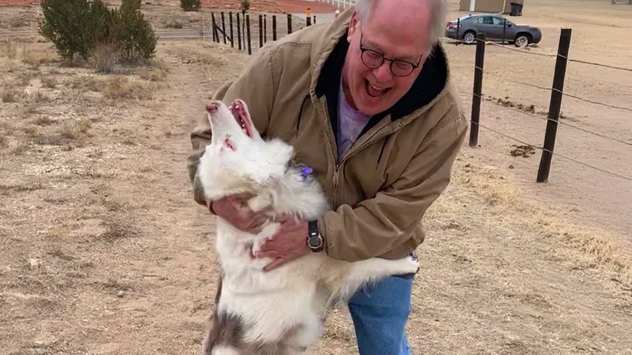 When A Dog's Love Is The Best Welcome Home 😍