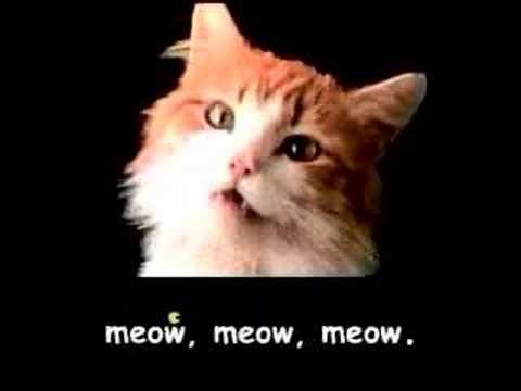 Meow Mix song