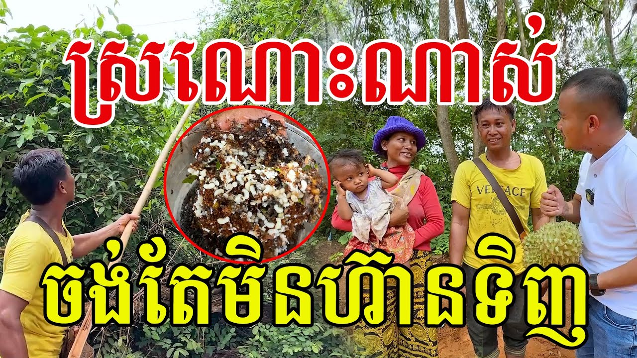 ស្រណោះណាស់ ចង់តែមិនហ៊ានទិញ ព្រោះរកអង្ក្រងបានតែមួយរស់ៗ