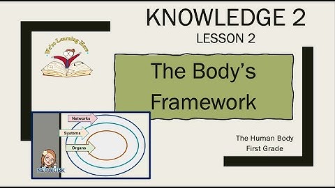 Kn 2 Ls 2 The Bodys Framework