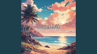 Download Lagu lovebird Download Lagu lovebird