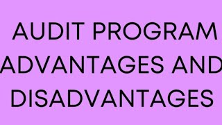 Audit programme