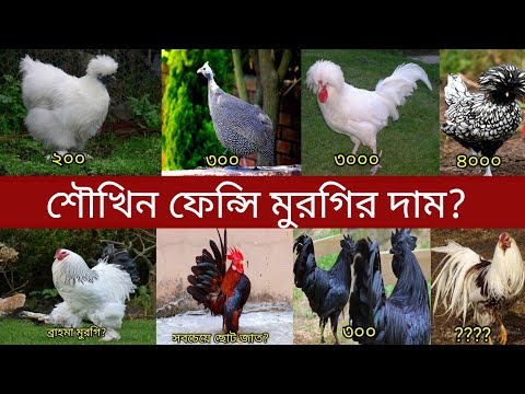 ভিডিও: বিভিন্ন জাতির বিরল এবং রঙিন জাতীয় বাসস্থান