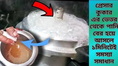 প্রেসার কুকার থেকে রান্নার সময় পানি বের হয়ে আসে? শুধু একটি ছোট্ট কাজেই সমস্যা সমাধান |