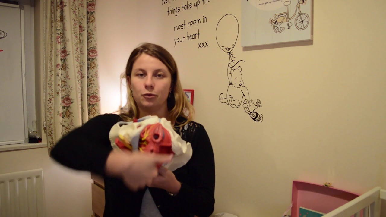 POURQUOI J'AI MAL A L'ENTRE JAMBE PENDANT LA GROSSESSE ? (Les douleurs de la grossesse 5/5)