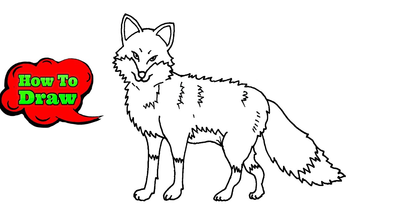 How to Draw A Fox – A Step-by-Step Guide