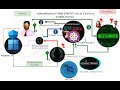 #2 Partie-2-Introduction aux Cyberattaques APTs-Acceder-à-un-Système-Non-Autorisé-avec-Clé-Privée
