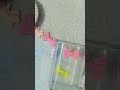 Pen holder 🖊️🖋️🖊️