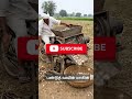 🌾 Village Life in AI – Amazing Farming Scene 😍#shorts