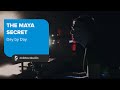 Day by Day - The Maya Secret