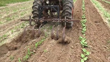 One row semi homemade cultivator 888FCD78 8B6A 41D5 AF0F 322D6EE46639