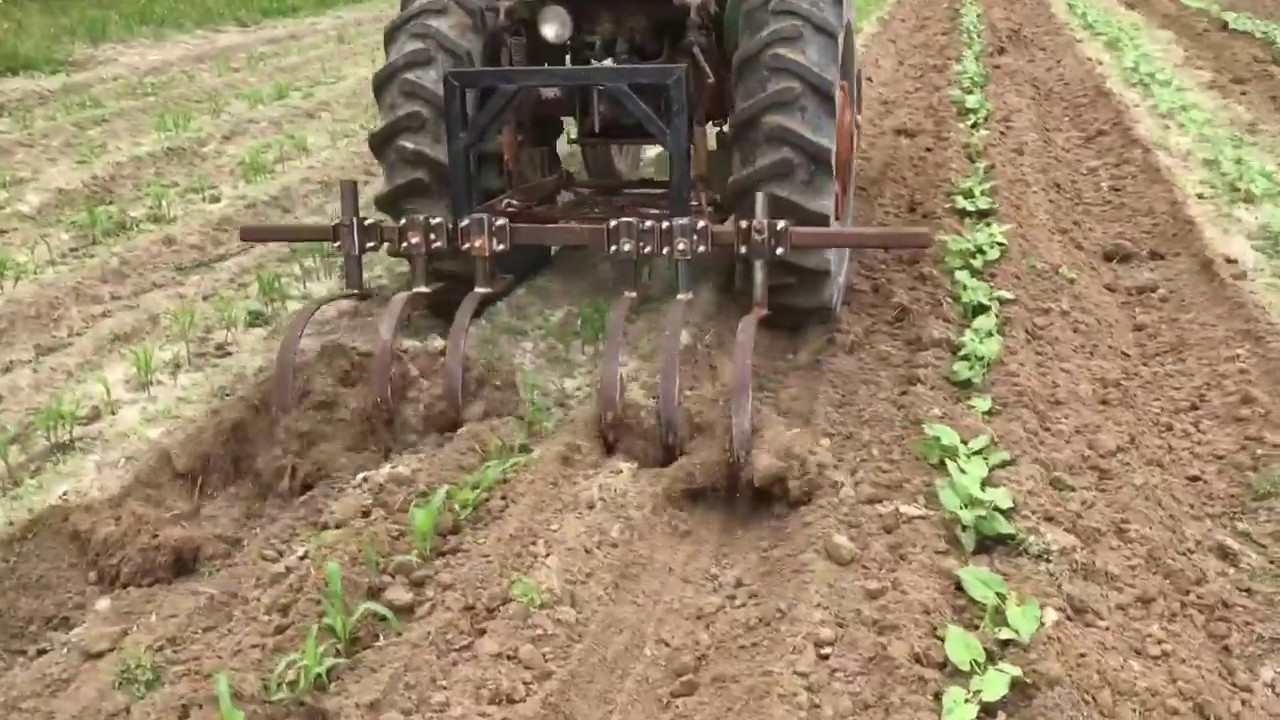 One row semi homemade cultivator 888fcd78 8b6a 41d5 af0f 322d6ee46639