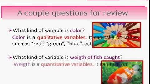 1-2 Variables and Types of Data.avi