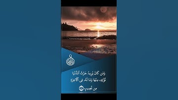 تلاوة مباركة من سورة الشورى  بصوت القارئ  عبدالعزيز المخيمر  ﴿ اللَّهُ لَطِيفٌ بِعِبَادِهِ ﴾