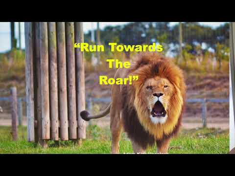 "Run Towards The Roar!"