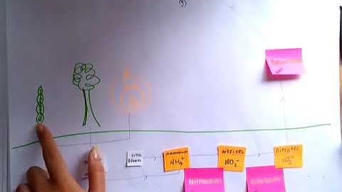 Nitrogen cycle OCR F215