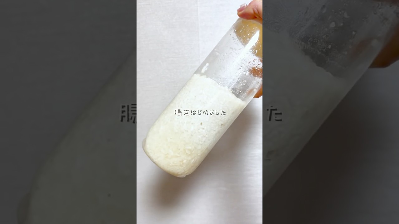 腸活生活始めました。塩麹って簡単に作れちゃう!