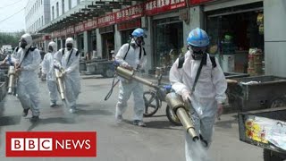 Fears of second wave in China - as questions continue about origins of coronavirus - BBC News