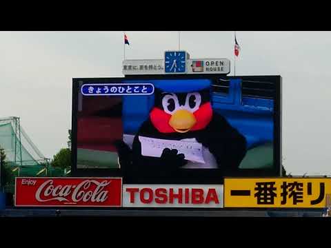 2018/6/26 ヤクルトスワローズ つば九郎 今日のひとこと