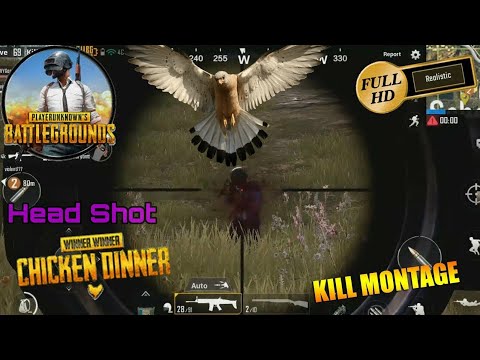 winner-winner-chicken-dinner-moments---pubg-mobile-gameplay