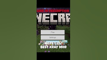 Minecraft pe 1.21 Best Xray mod #shorts