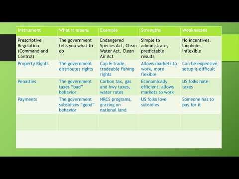 The 6 Ps of Environmental Policy Instruments