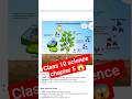 class 10 chapter 5 life process #ytshorts #shorts